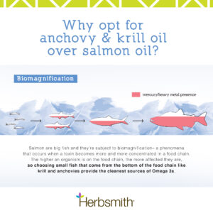 herbsmith-amazon-art-files-glimmer-final-anchovy-krill-salmon-comparison