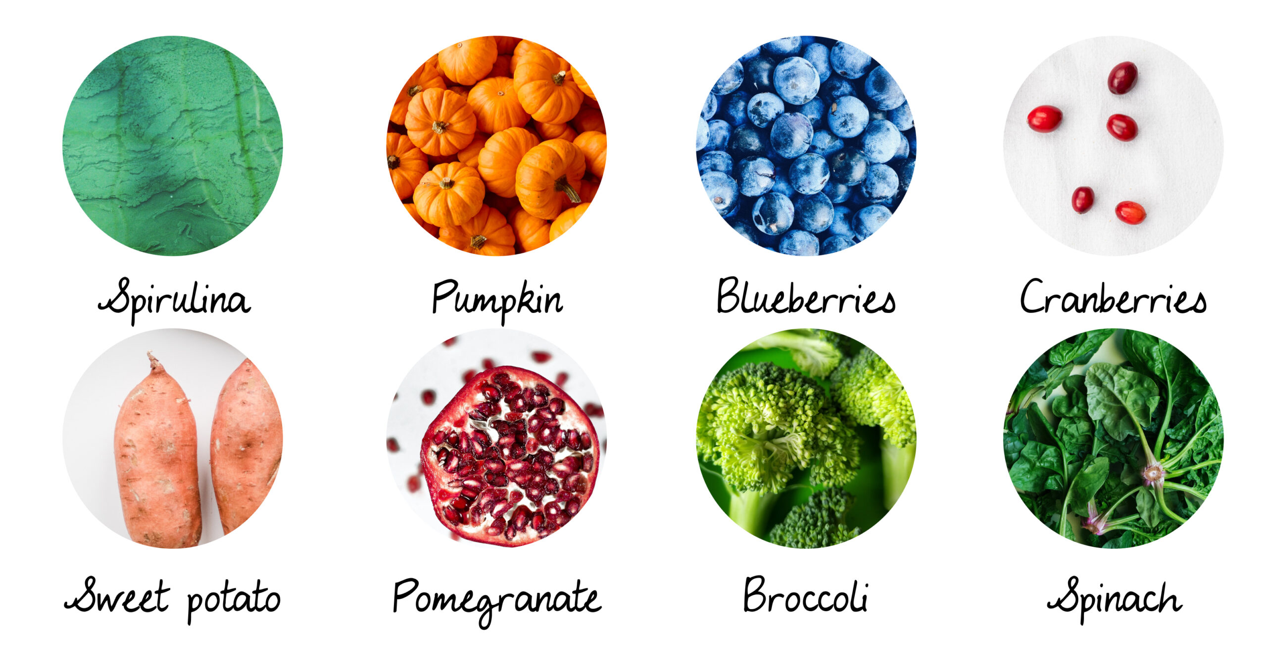 A list of superfood: spirulina, pumpkin, blueberries, cranberries, sweet potato, pomegranate, broccoli, spinach
