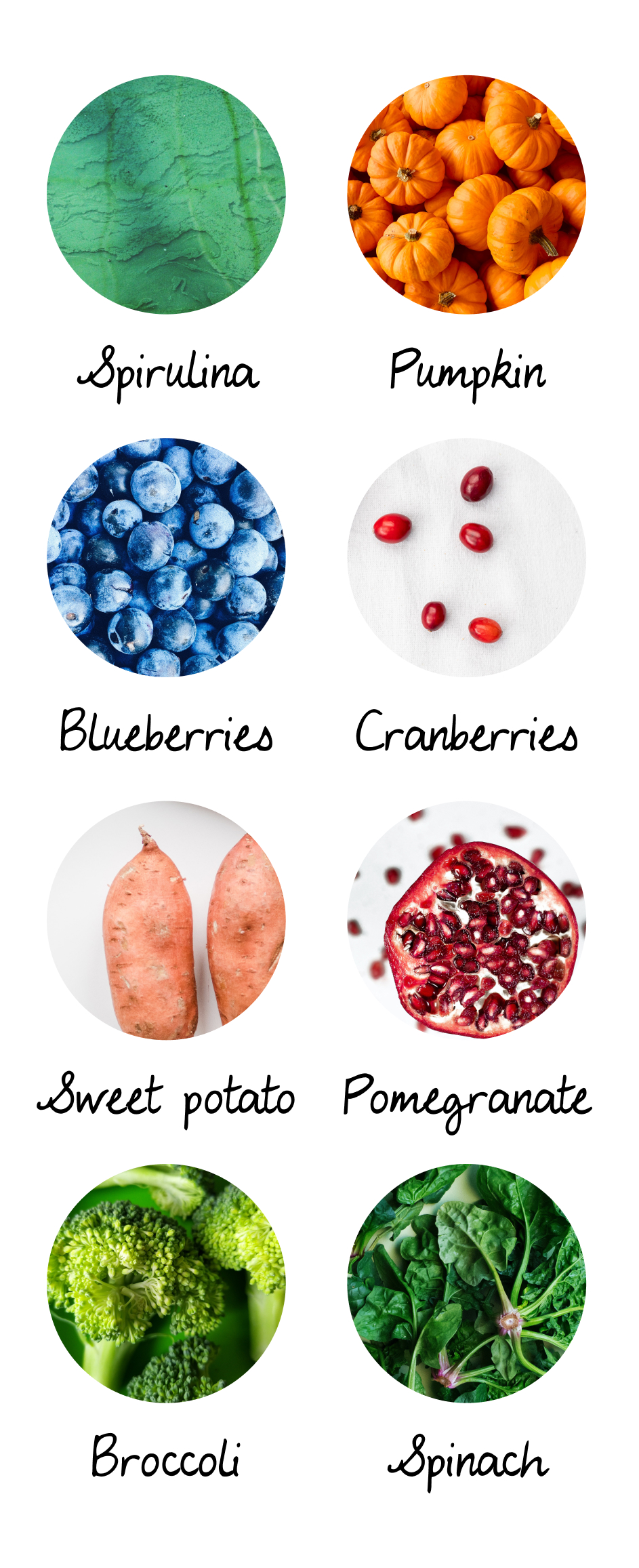 A list of superfood: spirulina, pumpkin, blueberries, cranberries, sweet potato, pomegranate, broccoli, spinach