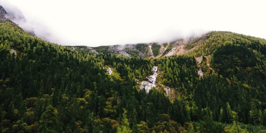alvan-nee-ng6TYkQJ4Qo-unsplash (1) alvan-nee-ng6TYkQJ4Qo-unsplash (1)