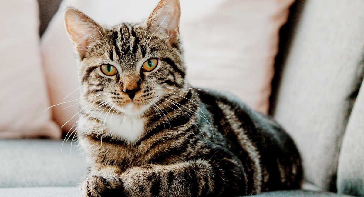 erik-jan-leusink-IbPxGLgJiMI-unsplash (1) erik-jan-leusink-IbPxGLgJiMI-unsplash (1)