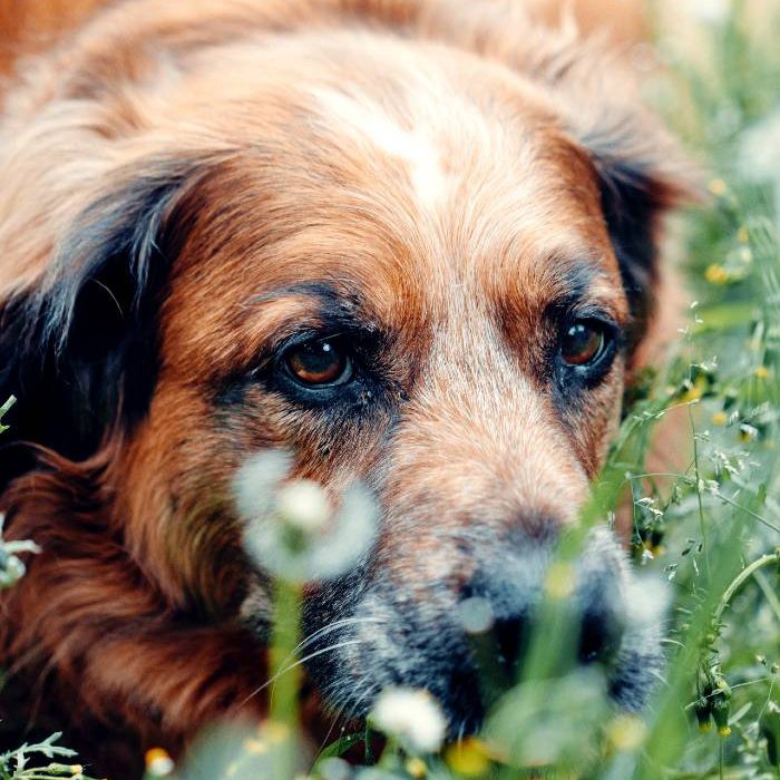 griffin-wooldridge-5c6QYLKAltI-unsplash (1) griffin-wooldridge-5c6QYLKAltI-unsplash (1)