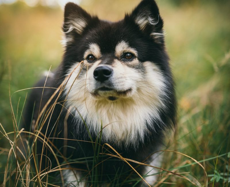 janko-ferlic-YpF6ZvEOqOs-unsplash