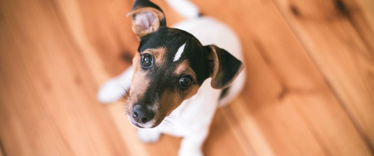 margo-brodowicz-TJgn1_dcE1g-unsplash (1) margo-brodowicz-TJgn1_dcE1g-unsplash (1)