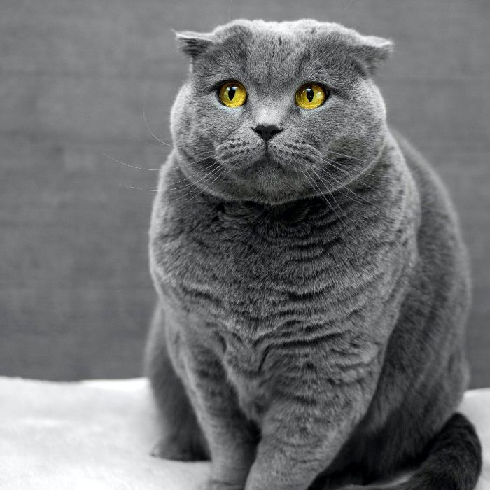 max-baskakov-OzAeZPNsLXk-unsplash (1) max-baskakov-OzAeZPNsLXk-unsplash (1)