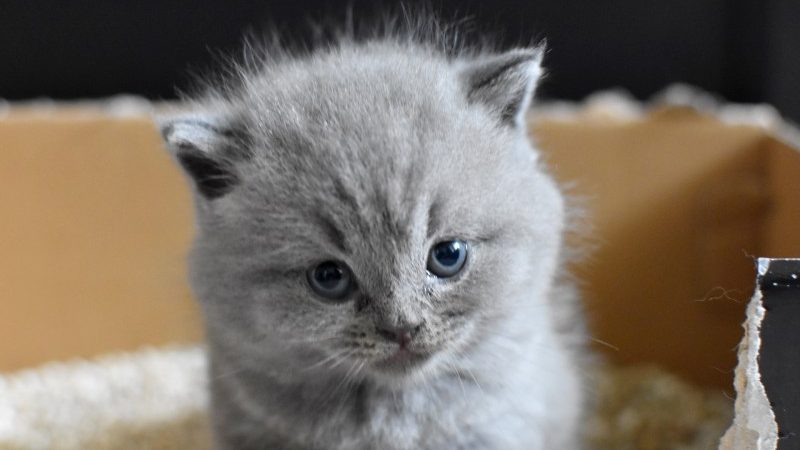 pedro-candeias-T1ZaPD0KhFQ-unsplash (1) pedro-candeias-T1ZaPD0KhFQ-unsplash (1)
