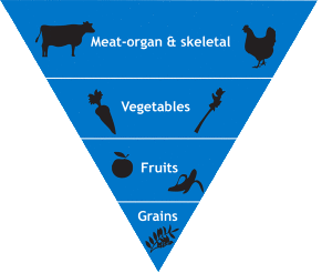 Dog Food Pyramid