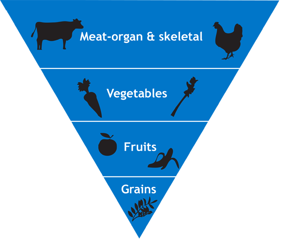 Chinese Food Energetics Chart