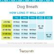 12-3-herbsmith-amazon-art-files-dog-breath-Final-72