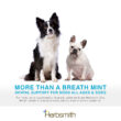 herbsmith-amazon-art-files-dog-breath-Final-dogs