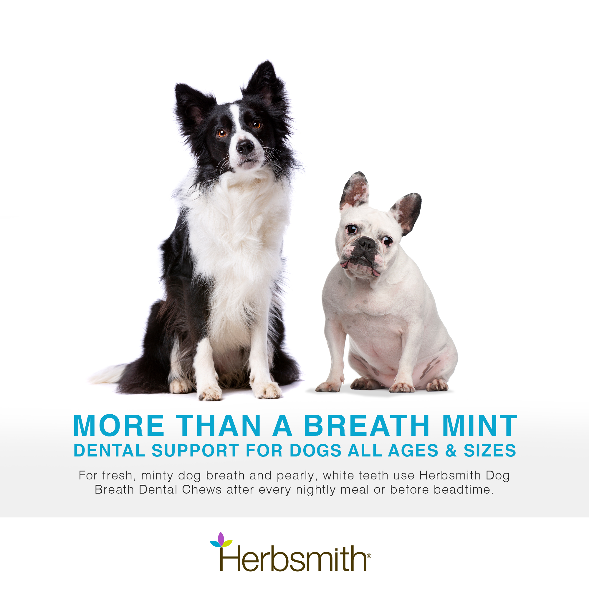 herbsmith-amazon-art-files-dog-breath-Final-dogs
