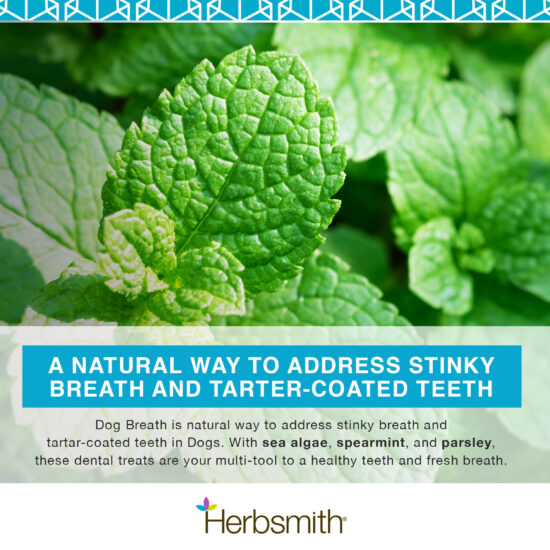 herbsmith-amazon-art-files-dog-breath-Final-ingredients
