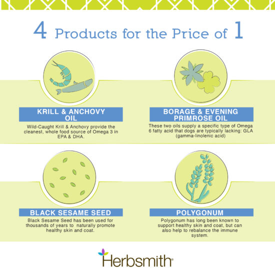 herbsmith-amazon-art-files-glimmer-final-4-1