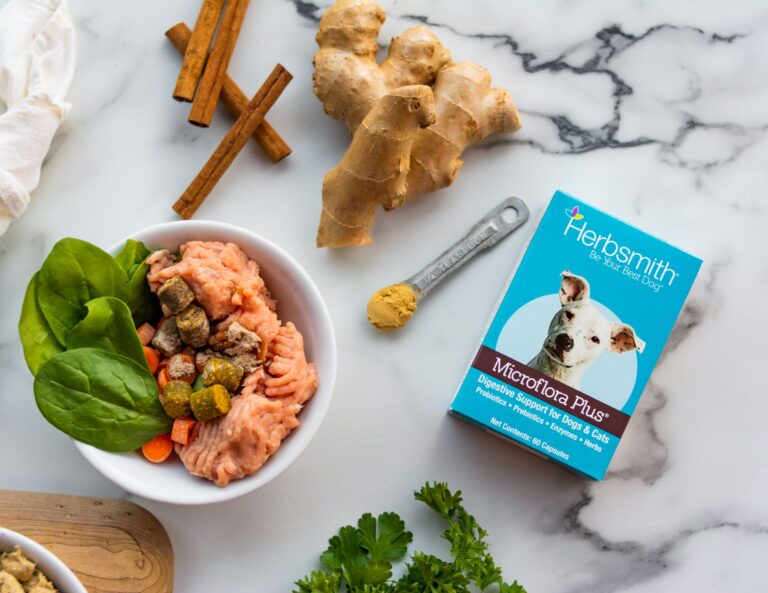 Have a Gassy Dog? Herbsmith