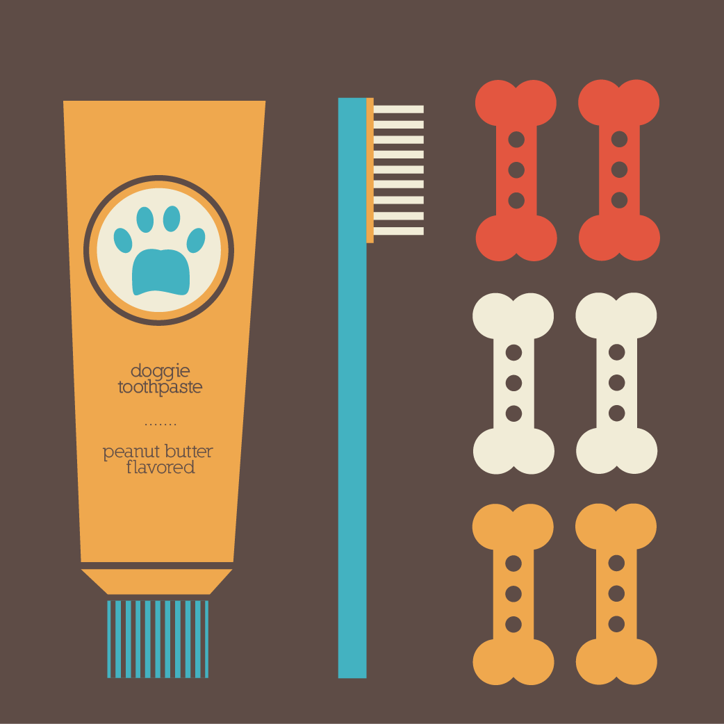 Gather your tools: doggy toothpaste, toothbrush, treats