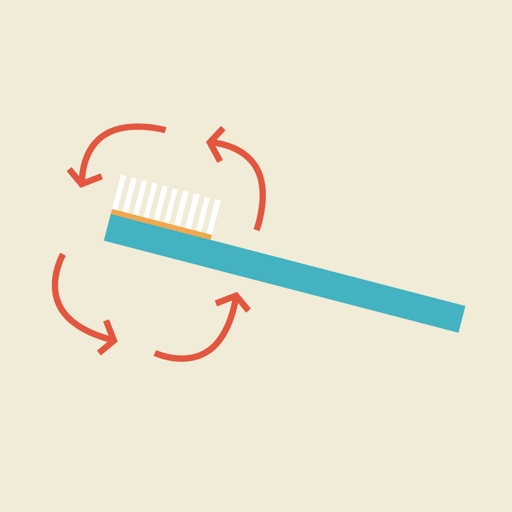 Toothbrush: brush teeth in a circular motion