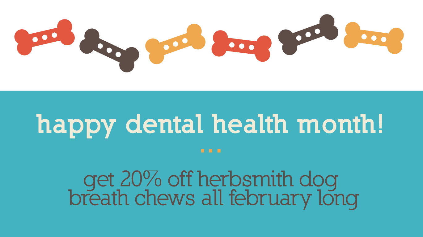 Happy Dental Health Month: get 20% off Herbsmith dog breath chews all February long