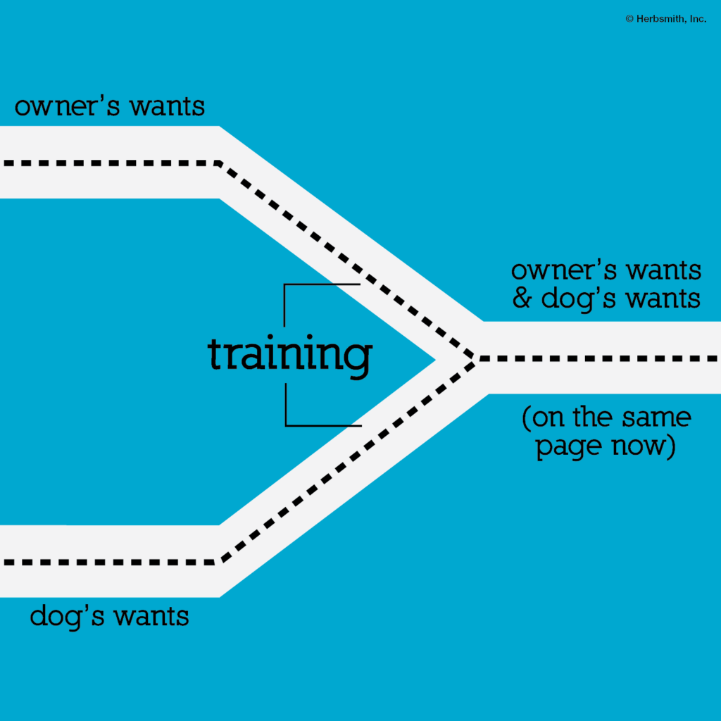 training is merging two paths into one