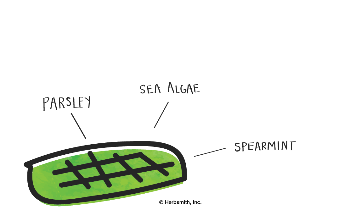 cartoon representation of Herbsmith Dog Breath dental chews with parsley, sea algae, and spearmint
