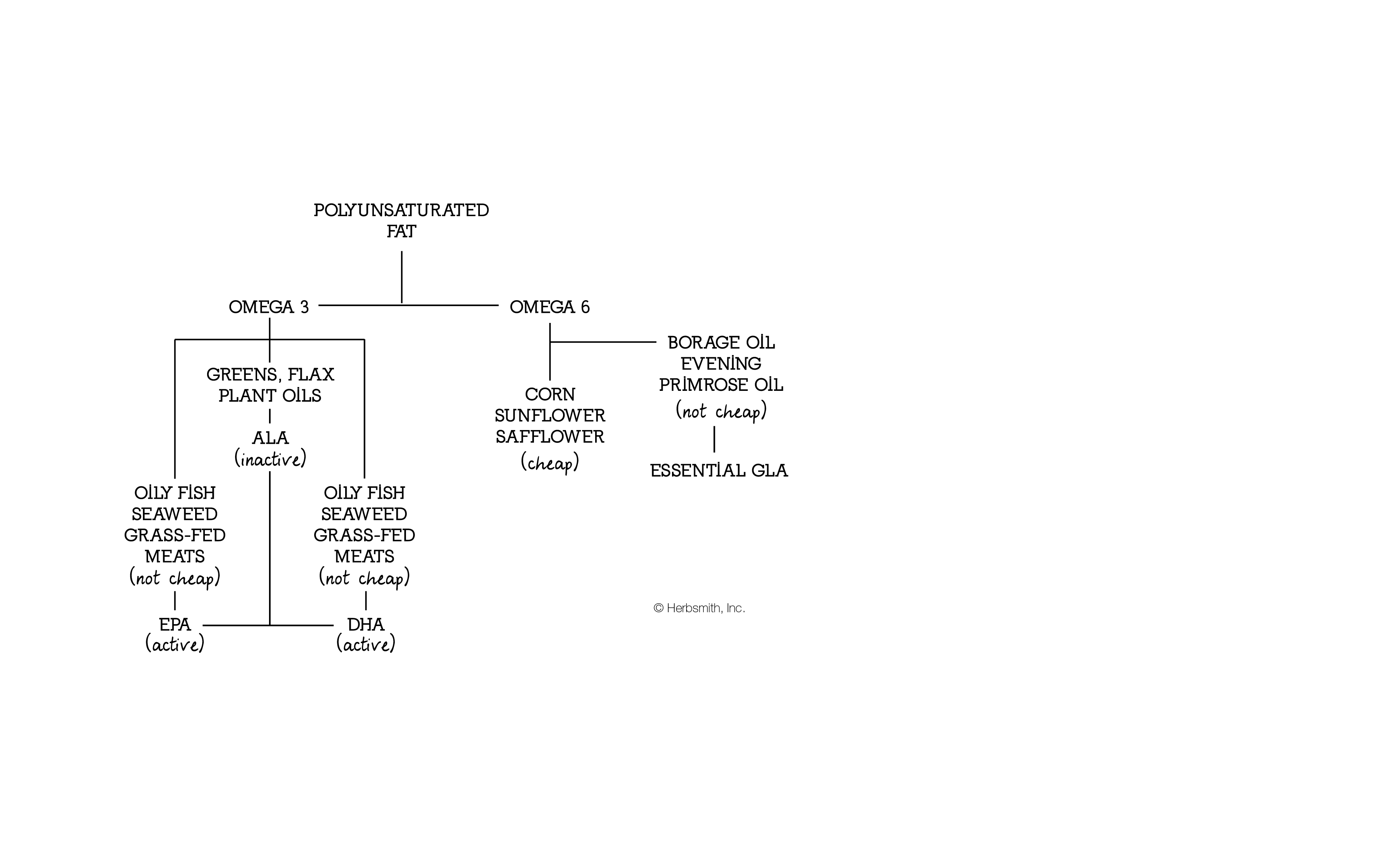 Polyunsaturated fat chart: omega 3 and omega 6