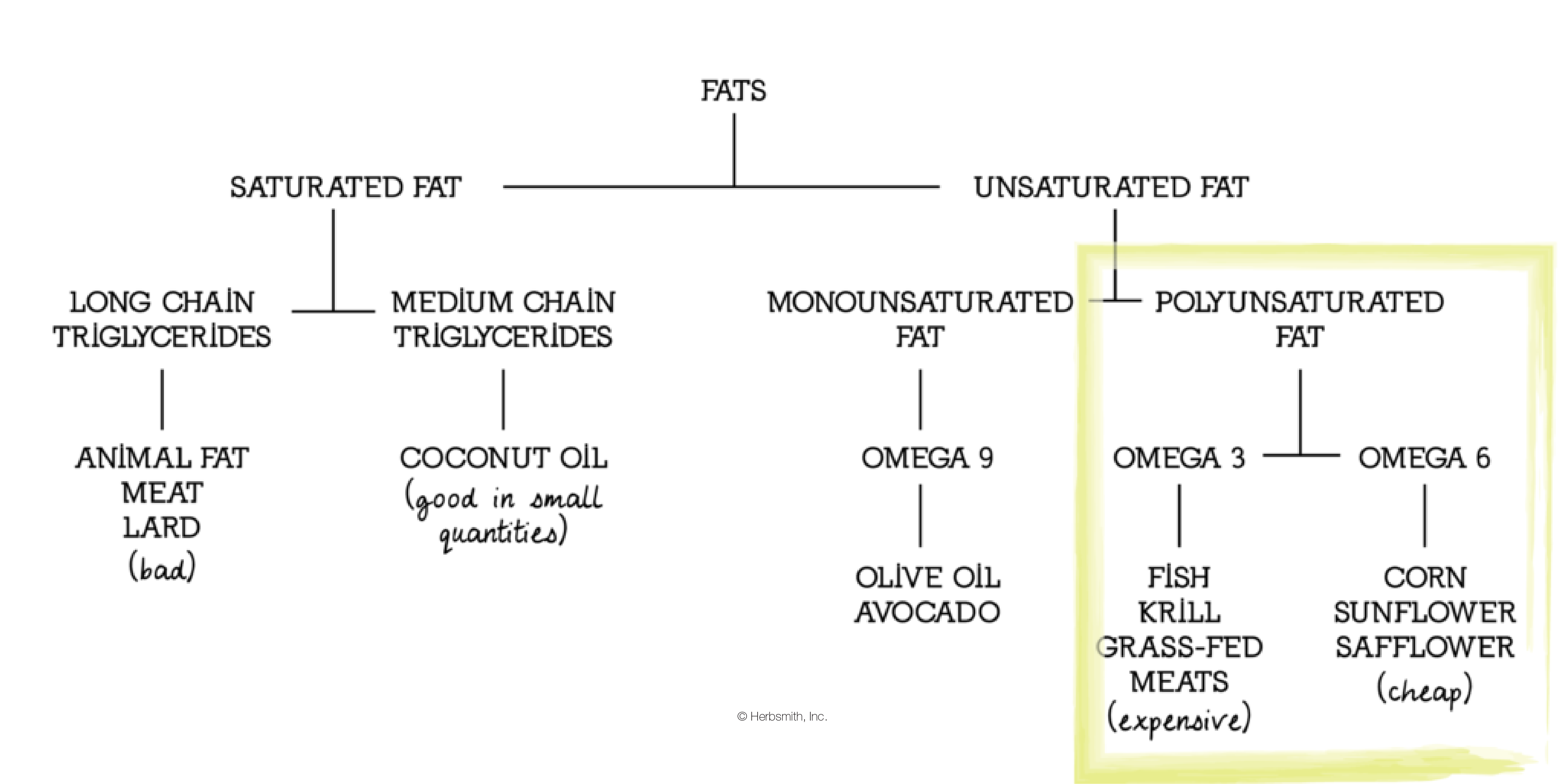Fat Charts: focus on Omega 3 and Omega 6