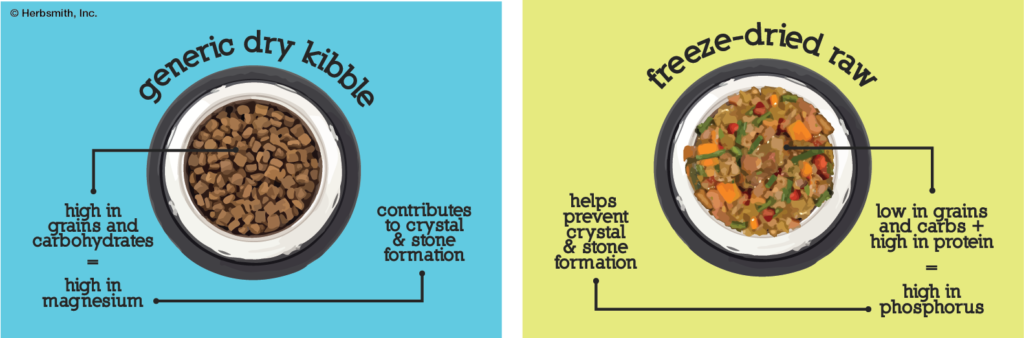 Dry kibble is high in grains/carb = high in magnesium which contributes to crystal & stone formation, while freeze-dried raw food is low in grains and carbs and high in protein = high in phosphorus which helps prevent crystal and stone formation