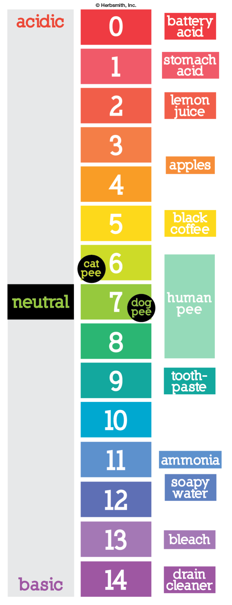 Bladder Health Herbsmith