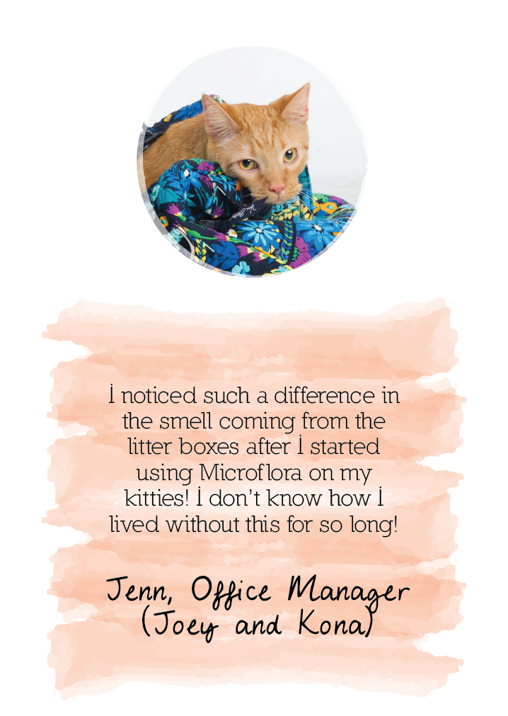 Microflora testimonial from Jenn: digestive health