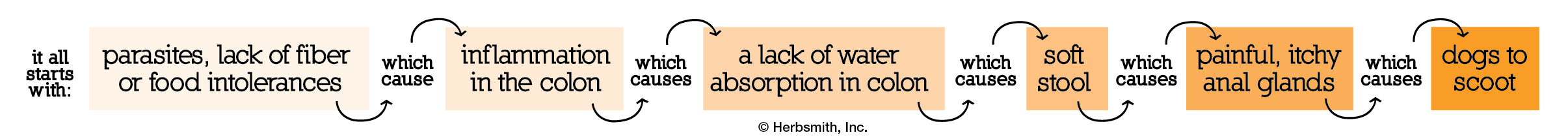 parasites or a lack of fiber cause inflammation in colon, which causes a lack of water absorption in the colon, which causes soft stool, which causes clogged anal glands, which causes dogs to scoot on their butts