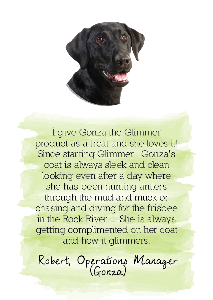 Glimmer testimonial from Robert: skin and coat health