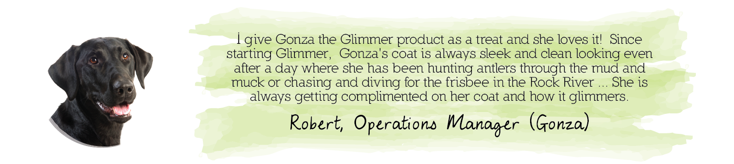 Glimmer testimonial from Robert: skin and coat health