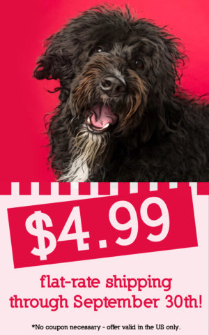 herbsmith dog