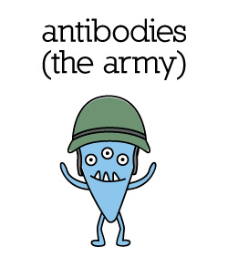 antibodies_color