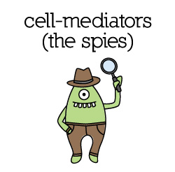 cell-mediators_color cell-mediators_color