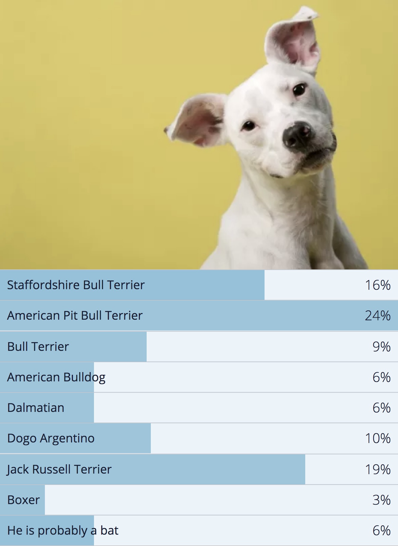 PollResultsWillieDNA