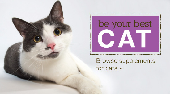 Be your best cat, herbs for pets, pet health herbs and pet supplements