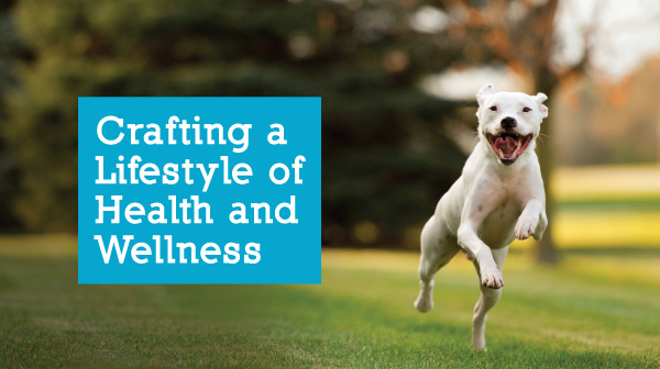 our dog willie, crafting a lifestyle of health and wellness, dog supplements, pet health herbs
