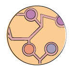 chondroitin structure: an element in sound dog viscosity joint support supplement