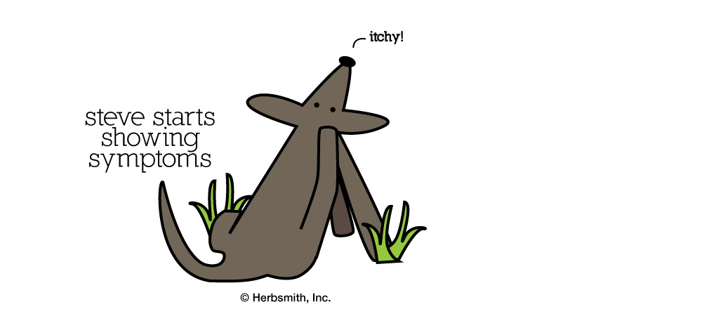 5. Poor, Itchy Steve