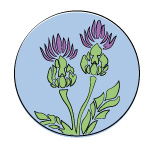 An icon of milk thistle