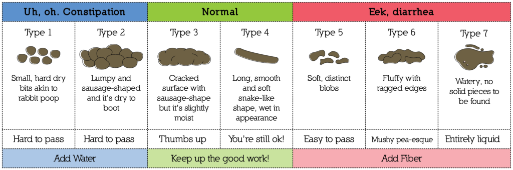 Dog Waste Color Chart