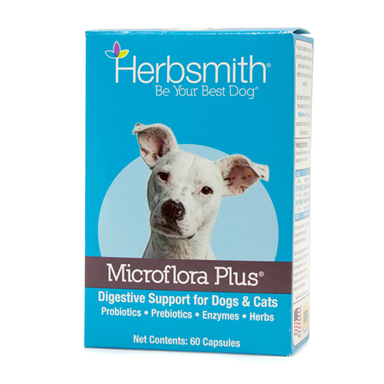 pet probiotics for dogs