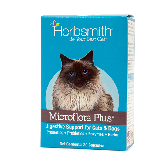 probiotics for cats