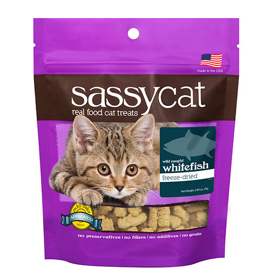 550_Sassy Cat_Whitefish