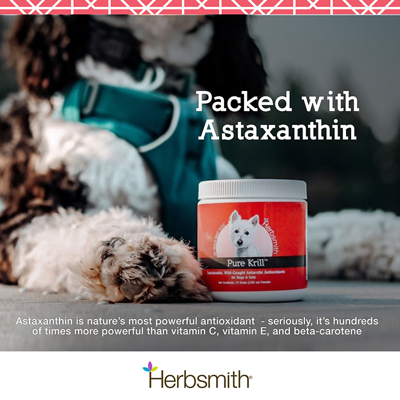 herbsmith-amazon-art-files-krill-2-packed-w-astaxanthin