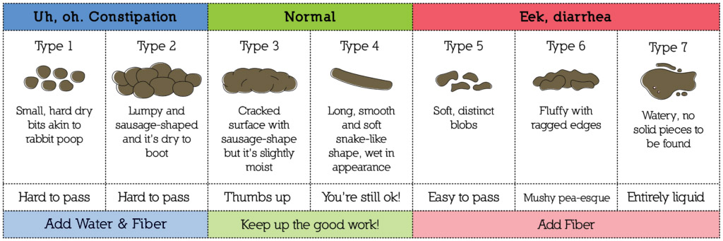 Cat Stool Chart