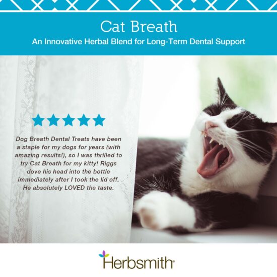 5-herbsmith-amazon-art-cat breath 5-herbsmith-amazon-art-cat breath