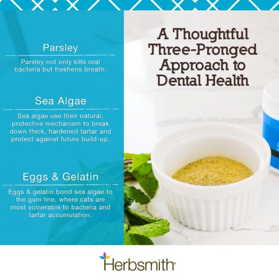 72-herbsmith-amazon-art-cat breath 72-herbsmith-amazon-art-cat breath