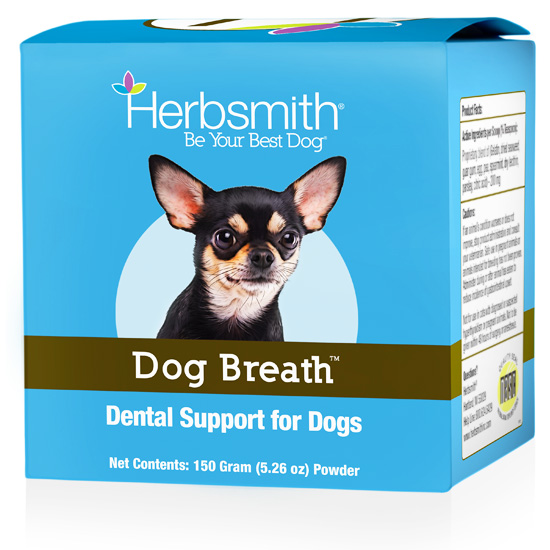 what is the best dental treat for dogs