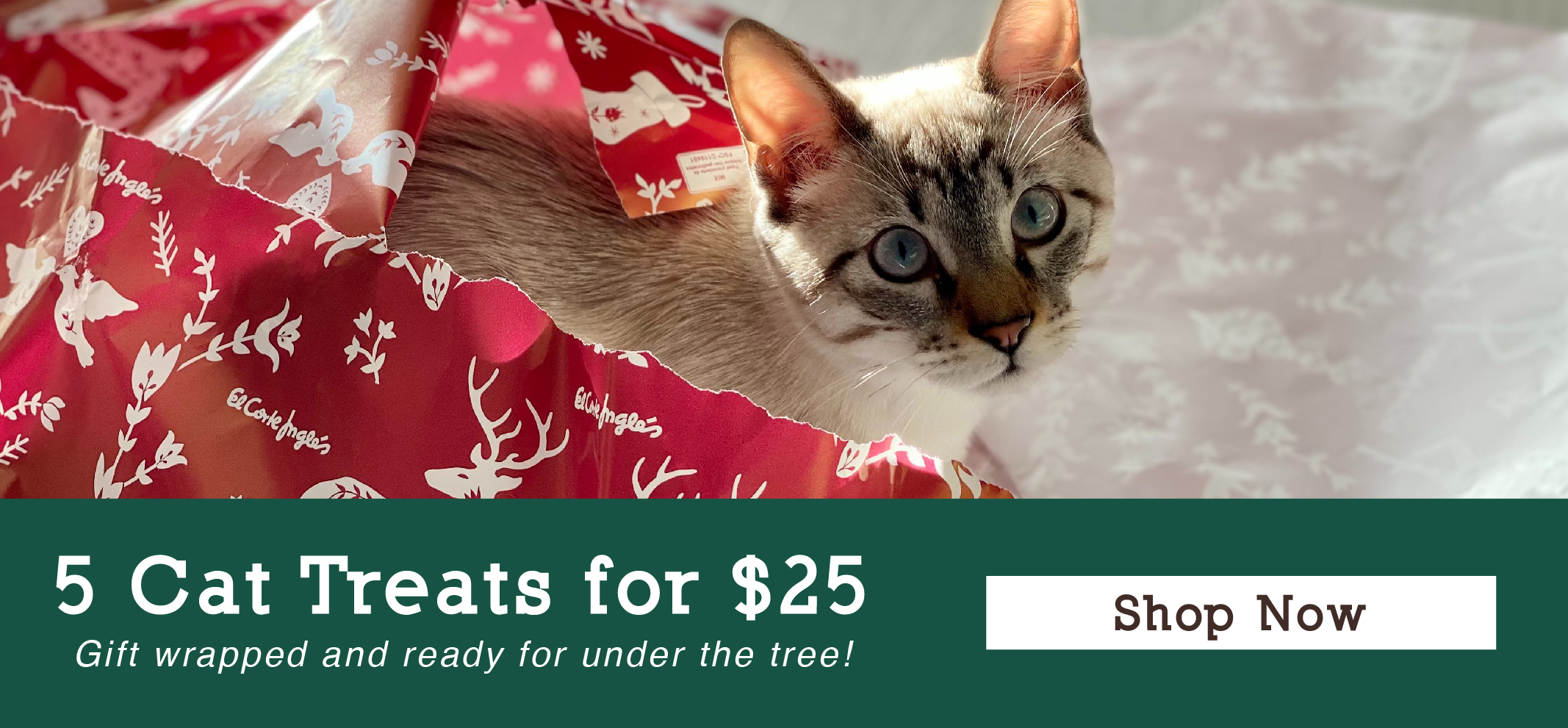 5 Cat Treats for $25-01